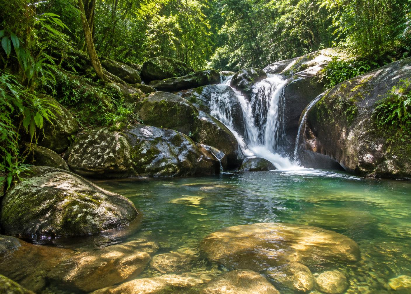 Cachoeira na Mata Atlântica